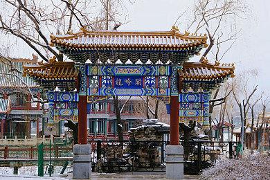 《第一后裔》×《猎天使魔女》联动定档11月6日